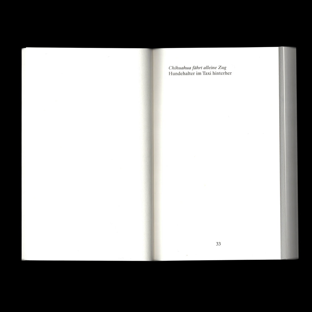 Sorry Press "Spirit Animal Animal Spirit" Book