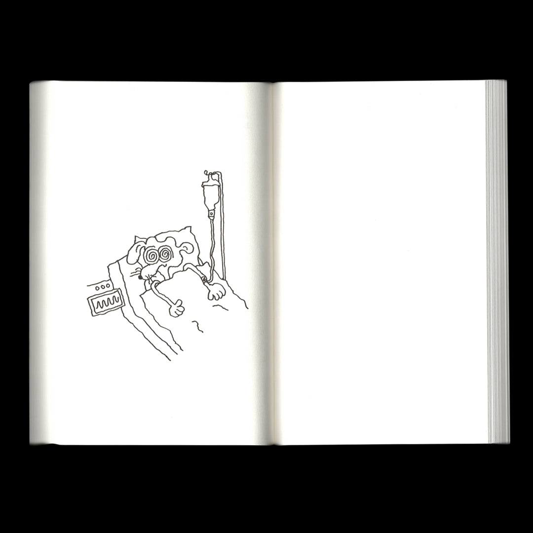 Sorry Press "Spirit Animal Animal Spirit" Book