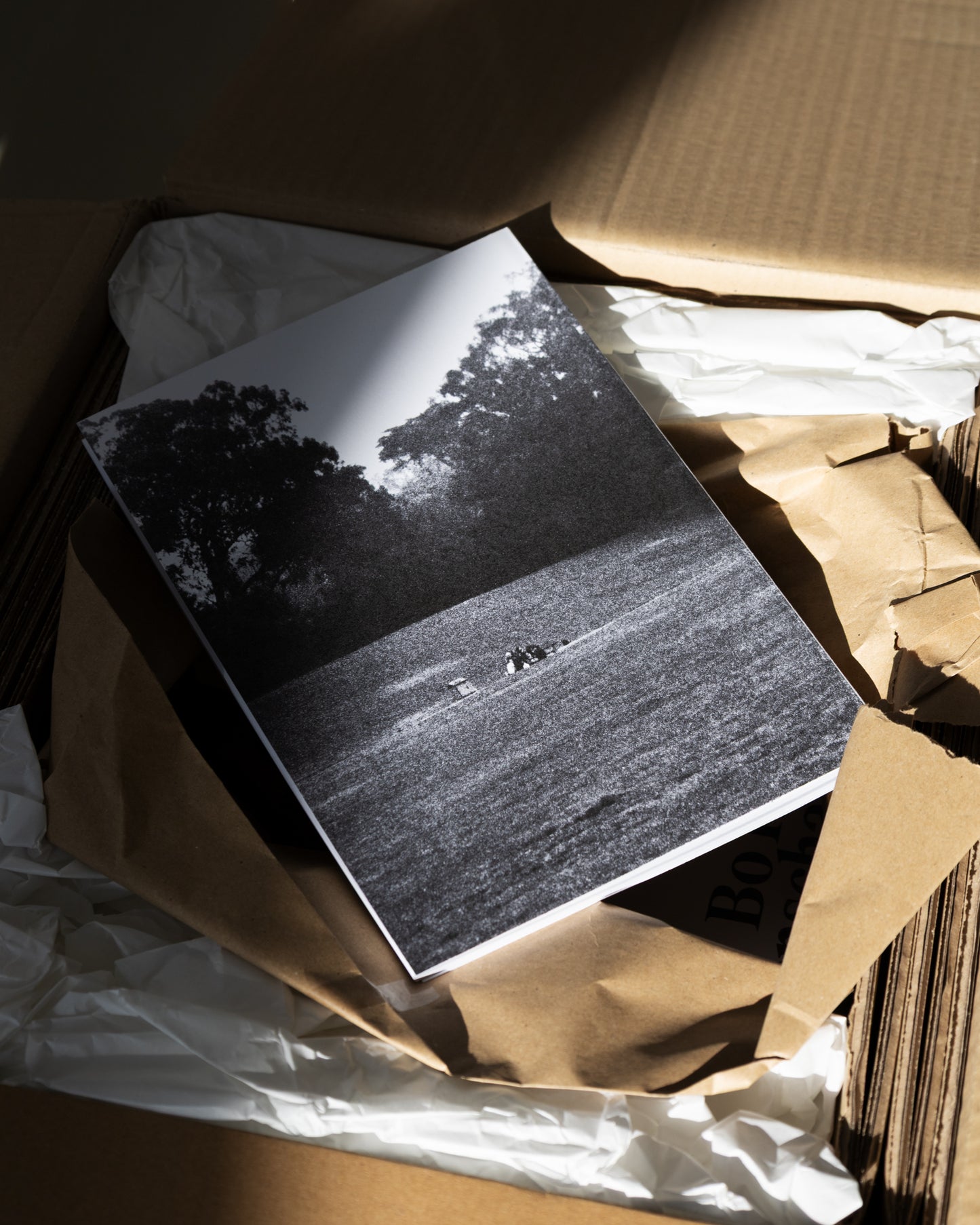 Bo Harley Lenschau "Zero Sugar"