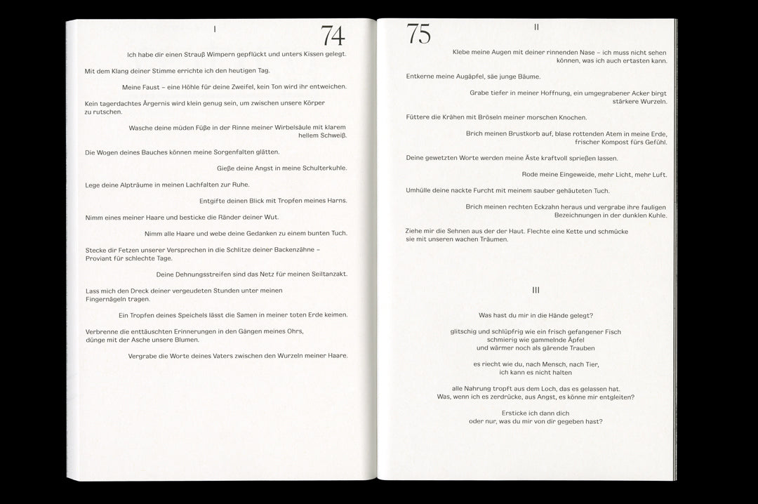 stirnholz Verlag "Der Schnipsel #22" Magazine