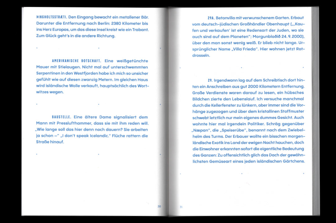 Birger Niehaus "Isländer beim Traubenessen" Book