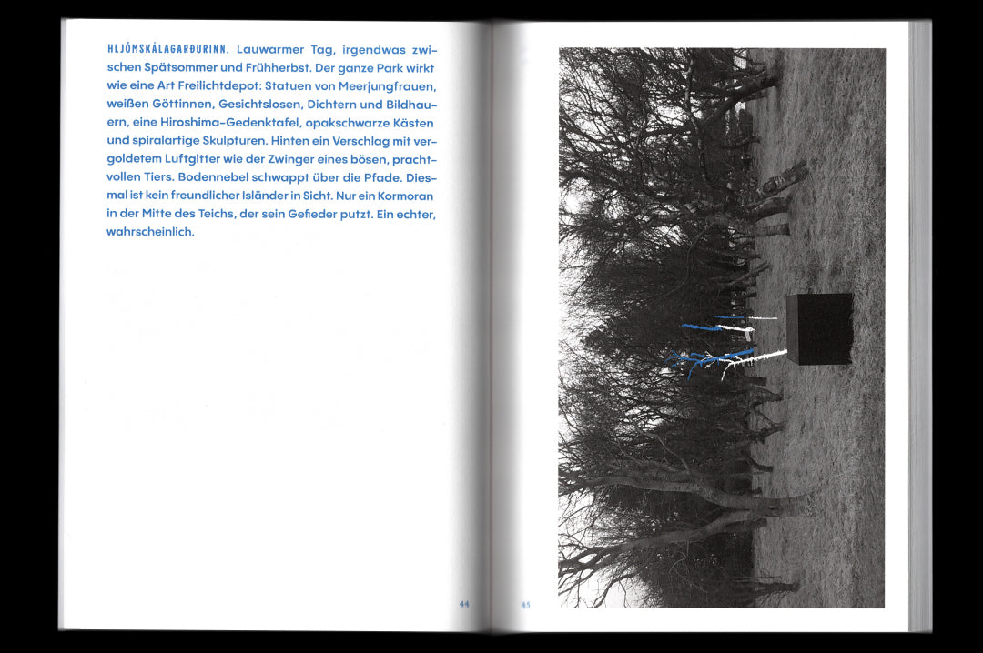 Birger Niehaus "Isländer beim Traubenessen" Book