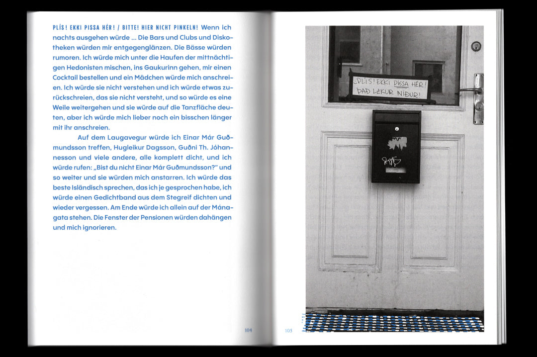 Birger Niehaus "Isländer beim Traubenessen" Book