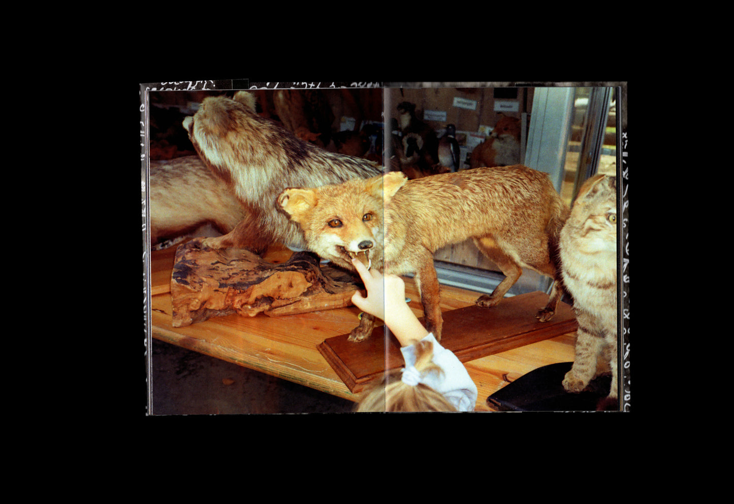 Fabian Schwarze "I Searched For Nothing But Found This" Book