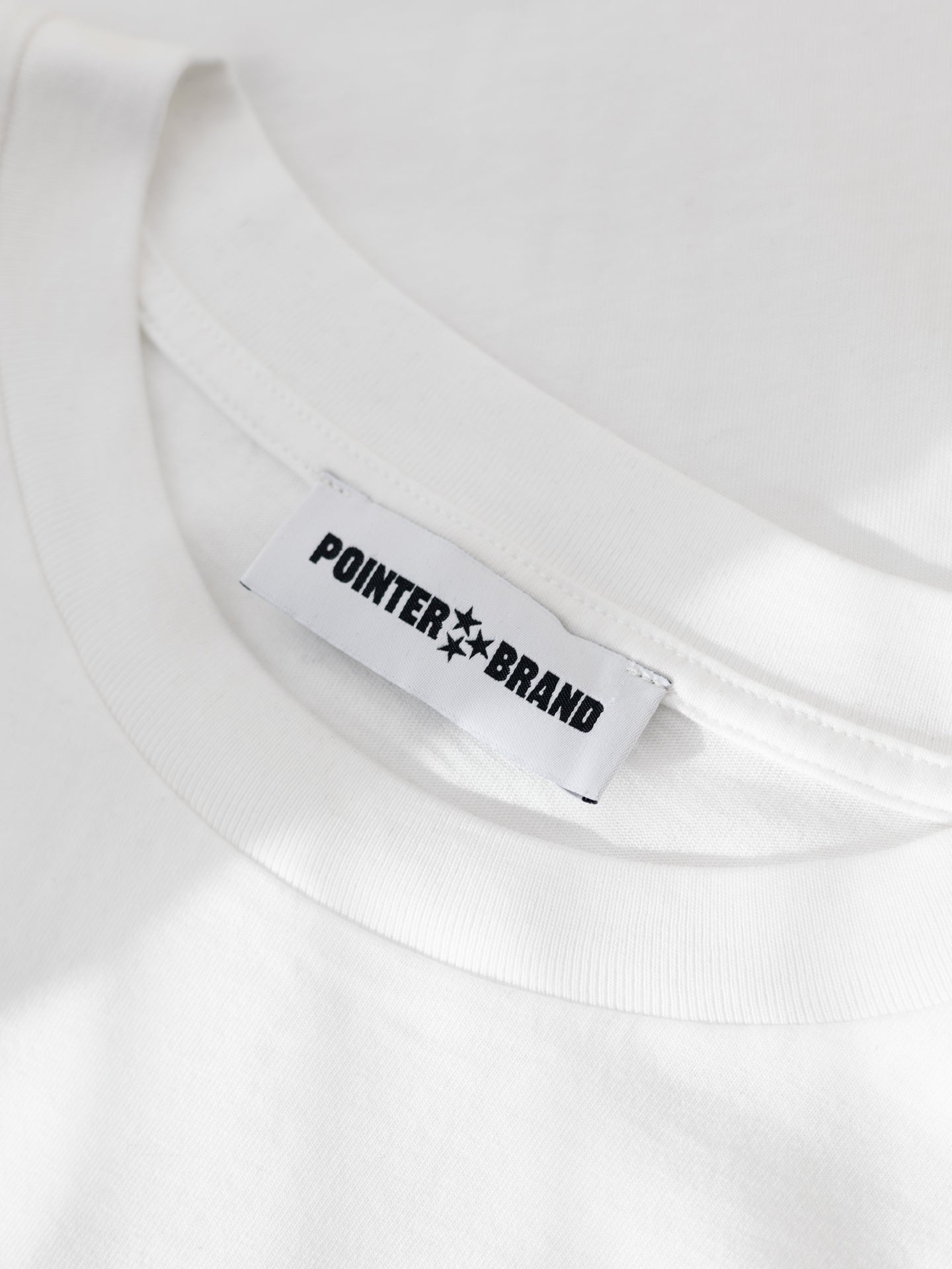 Pointer "Dog Party TS"