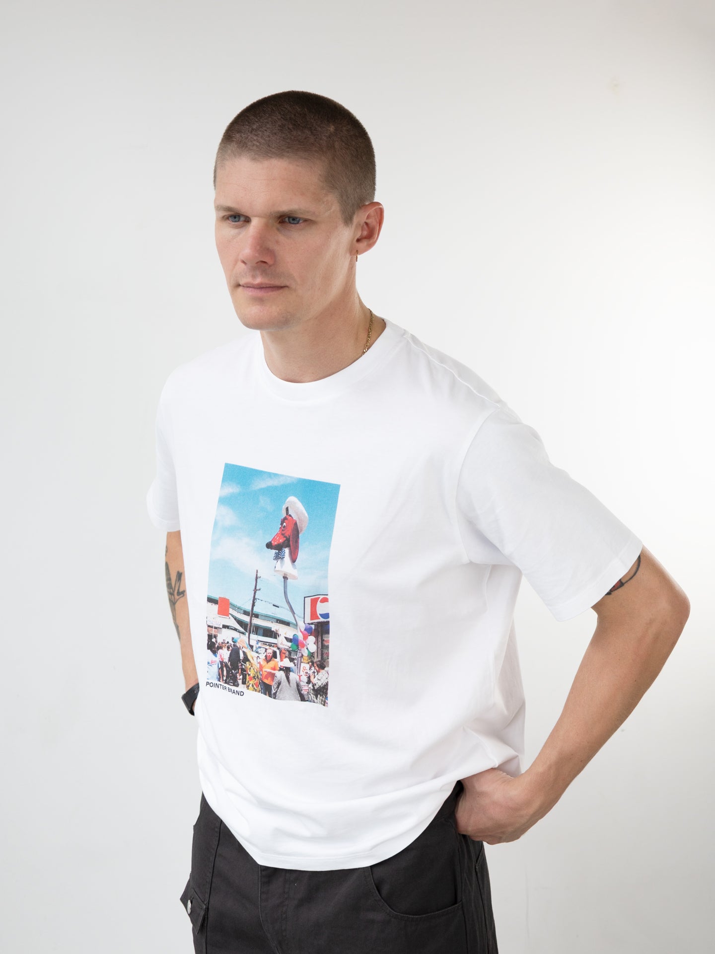 Pointer "Dog Party TS"